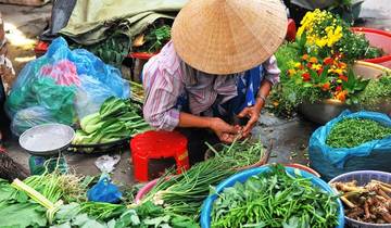 21 Days in Vietnam, incl. Hanoi and Ho Chi Minh City