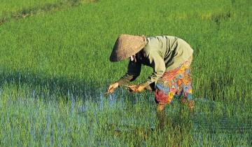 Verkenningsreis door Vietnam-rondreis
