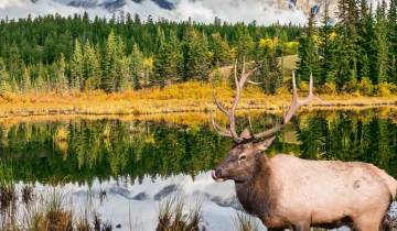 Senderismo en las Montañas Rocosas canadienses