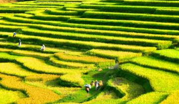 Wandelen in Vietnam-rondreis