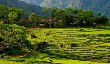 Wandelen in Vietnam