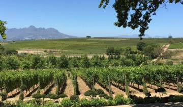 21 Days in South Africa, incl. Johannesburg and Cape Town