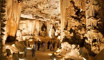21 Days in South Africa, incl. Johannesburg and Cape Town