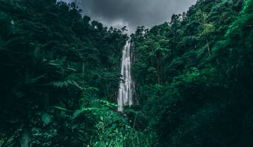 7 Tage Kilimanjaro Machame Trek - Rundreise