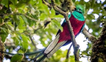 Circuits de luxe vers Amérique latine