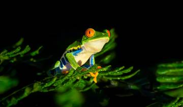 Best of Costa Rica