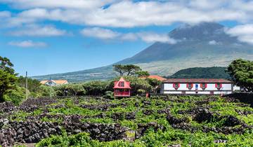 Highlights of the Azores