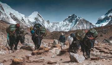 Camp de base de l\'Everest via les lacs de Gokyo et le col de Chola circuit