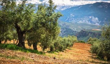 Madrid to Andalusia, Self-drive Tour