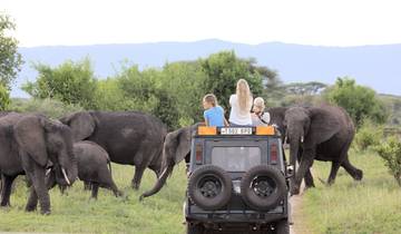 3 Jours 2 Nuits Parc National Nyerere Lodge Safari