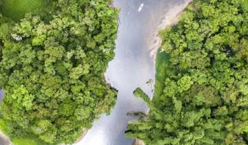 14 Day Brazilian Amazon Itinerary, incl. Belem and Manaus