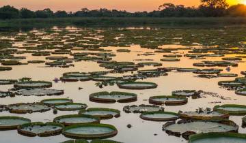 Brazilian Amazon by Boat