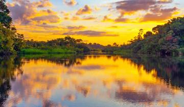 Brazilian Amazon by Boat
