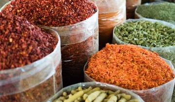 21 Day Central Asia Itinerary, incl. Bishkek and Tashkent