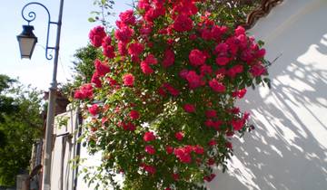 9 Days in Bulgaria, incl. Sofia and Plovdiv
