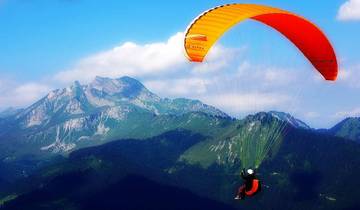 Kaapstad 5-daagse attractietours: Paragliden & Cape Peninsula & Wijnproeven & Kooiduiken met haaien & Aquila Safari Tour-rondreis