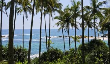 All in One Sri Lanka, Private Tour Tour