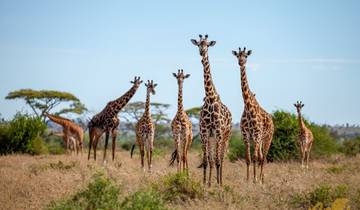 Safari culturel en Tanzanie circuit