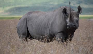 3 jours de safari en Tanzanie circuit