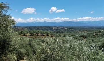 7 Days in Peloponnese Cycling, incl. Kalamata and Pylos