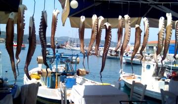 7 Days in Peloponnese Cycling, incl. Kalamata and Pylos
