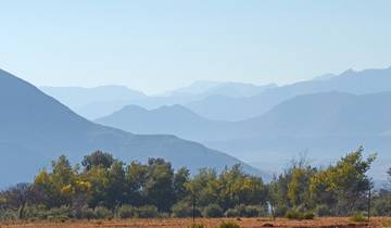20 Days in South Africa, incl. Kruger and Cape Town