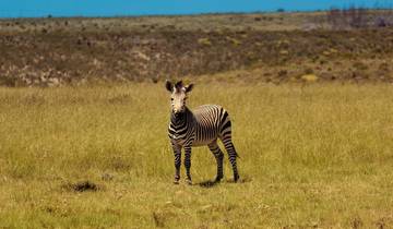 Exploration de l'Afrique du Sud, du Lesotho et de l'Eswatini - camping - 20 jours