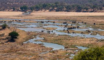 20 Day South Africa Itinerary, incl. Kruger National Park and Cape Town