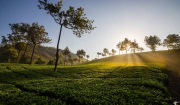 7 Day Kerala Itinerary, incl. Cochin and Alleppey