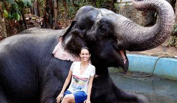 7 Day Kerala Itinerary, incl. Cochin and Alleppey