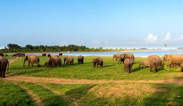 Sri Lanka avontuur voor tieners - 9 dagen