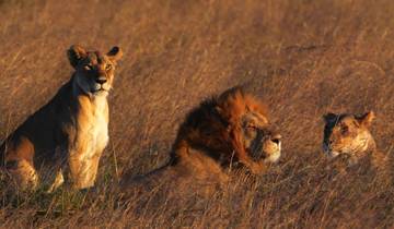 Circuito Lo mejor de Kenia safari de lujo de 8 días
