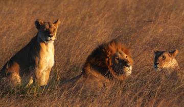 Circuito Safari de lujo de seis días por lo mejor de Kenia y Tanzania