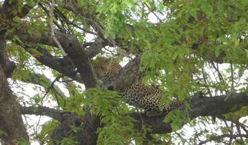 3 Days Mikumi National Park - Accommodation Inside the Park.