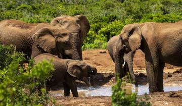 15 Day Zambia Safari Itinerary, incl. Livingstone and South Luangwa