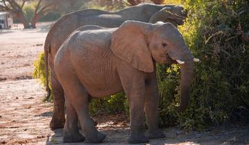 15 Day Zambia Safari Itinerary, incl. Livingstone and South Luangwa