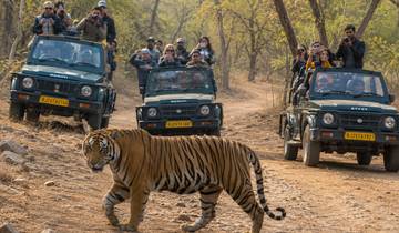 Circuit du Triangle d'Or avec Ranthambore Jungle Safari - 5 jours