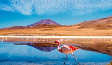 Chile Discover the Beauty Tour