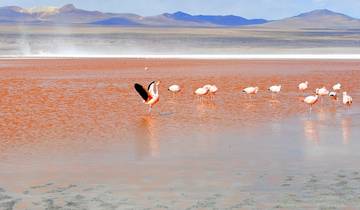 7 Day Atacama & Bolivia Itinerary, incl. San Pedro and Uyuni Salt Flats