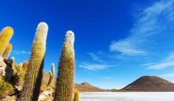 20 Days in South America, incl. Buenos Aires and Machu Picchu