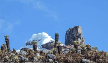 Los Llanos