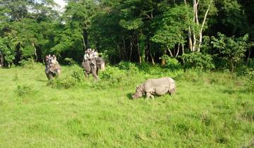 Circuito Paquete de lujo de 3 días en Chitwan
