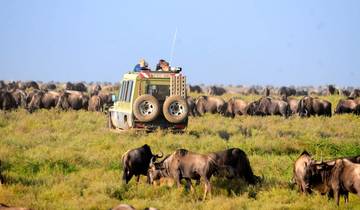 Big Five safari in Tanzania-6 dagen-rondreis