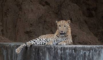 Golden Triangle And Safari In Ranthambore Tiger Reserve Tour