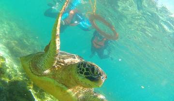 Dumaguete, het eiland Apo & het platteland