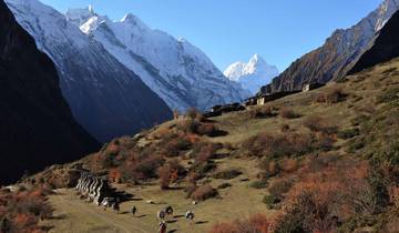 19 days Manaslu - Tsum Valley Trek Tour