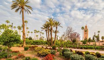 9 Day Private Tour from Casablanca through Chefchaouen, Fes, the Desert, & Marrakech Tour