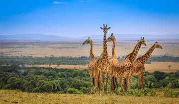 11 DAY COMBINED KENYA & TANZANIA WILDLIFE SAFARI Tour