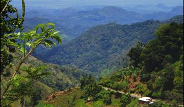 Les délices du Sri Lanka circuit