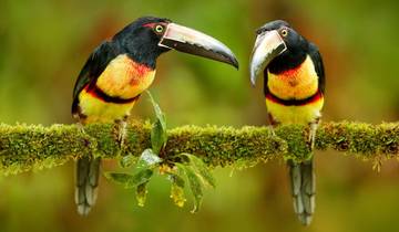 Vacances en famille au Costa Rica (6 destinations)